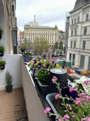 City View